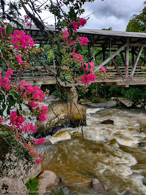 historic bridge over the Rio dos Cedrosm, with pink flowers, rustic, whitewater,