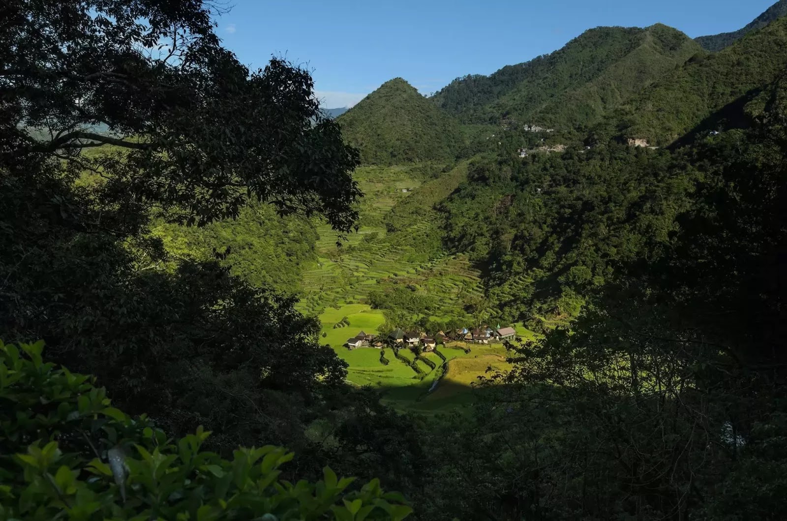 Bangaan Rice Terraces Landscape View 8th Wonder Ifugao Cordillera Administrative Region Philippines