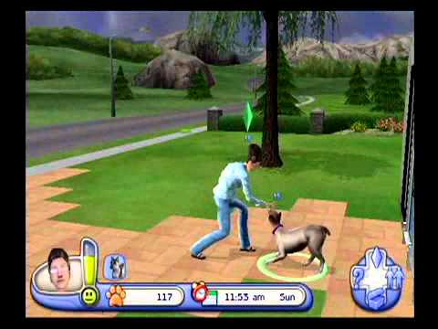 The Sims 2 Apartment Pets Ds Rom The Sims 2 Apartment Pets Ds Rom Download Roms Iso For Android