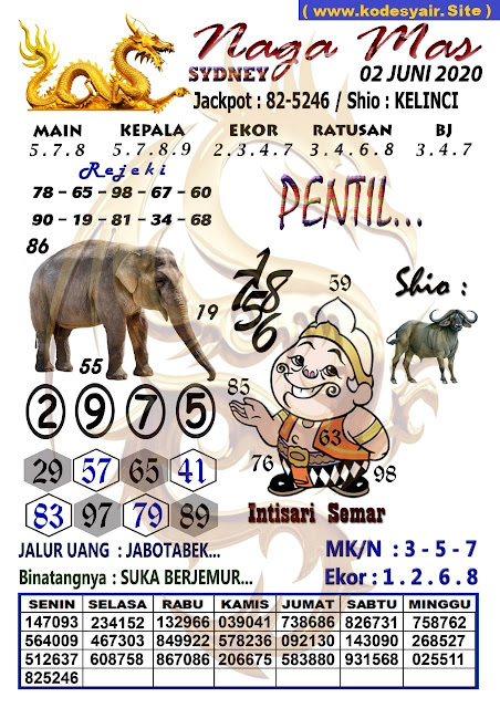 SYAIR TOGEL SYDNEY SELASA 02 JUNI 2020