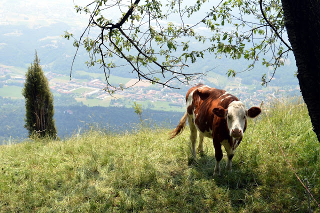 escursioni trekking passeggiate valle imagna