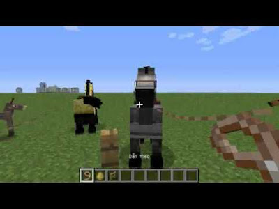Hướng dẫn cách cưỡi ngựa thuần thục trong Minecraft 6