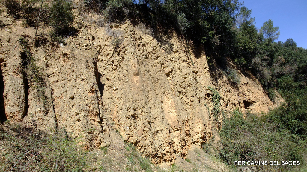 PER CAMINS DEL BAGES ELS BADLANDS DE LA RIERA DE GAIÀ