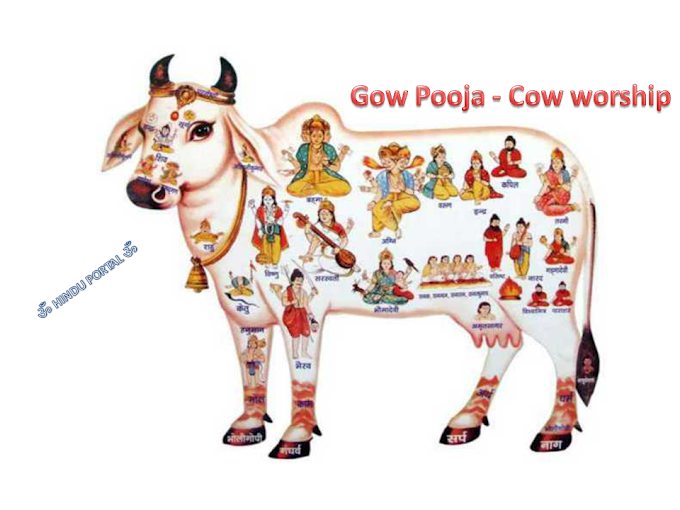 What is Gow Pooja - Cow worship