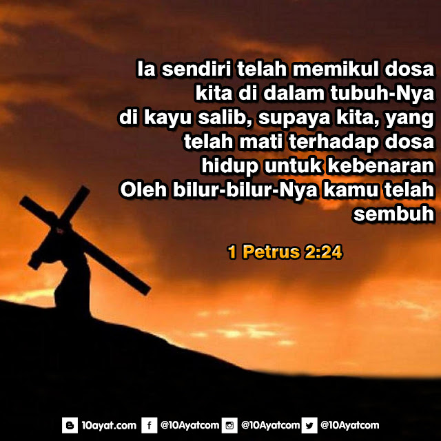 1%2BPetrus%2B2 24