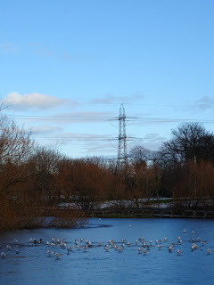 View over pond in Figgate Park to pylons and powerlines by Kevin Nosferatu for the Skulferatu Project