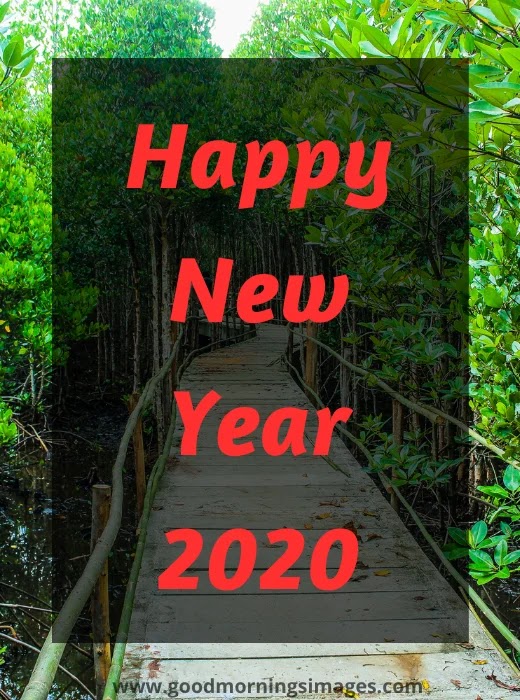 happy lunar new year 2020 happy lunar new year 2020