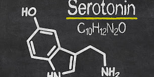 Serotonin Hormonu ve Ruh Dengesi