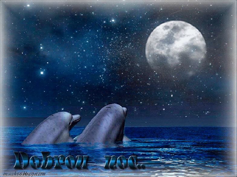 Луна дельфины слушать. Анимационные дельфины. Спокойной ночи с дельфинами. Доброй ночи с дельфинами. Дельфины ночью.