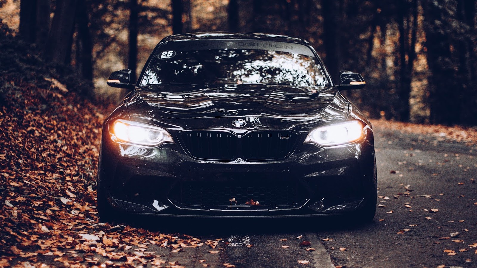 Autumn Leaves, BMW, Black Car, Front View