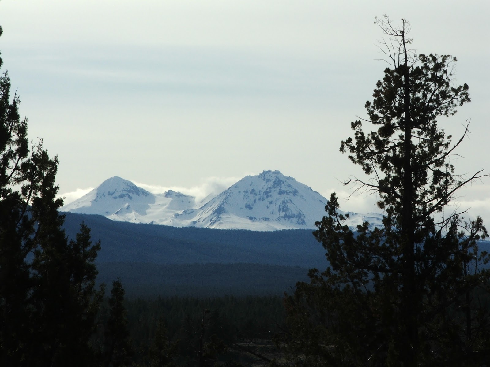 BP's Bend Properties Duke Warner Realty Market Trends Report for Bend