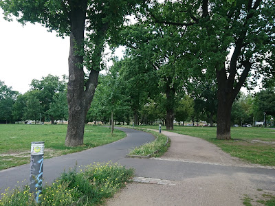 Blick entlang des gekurvten Lauf/Inlinewegs am Neuen Hain.