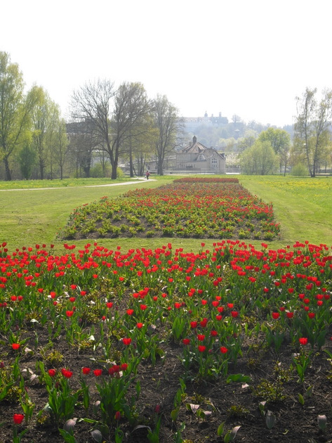 Die Schwabische Alb Und Ihre Natur Brenzpark In Heidenheim