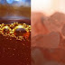 POUR A TEASPOON OF SALT IN HONEY AND PLACE IT UNDER YOUR TONGUE: THE FIRST RESULTS IN THE MORNING WILL DELIGHT YOU!