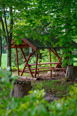 Kammweg Erzgebirge  Etappe 3+4 von Sayda nach Olbernhau  Wandern in Sachsen 17