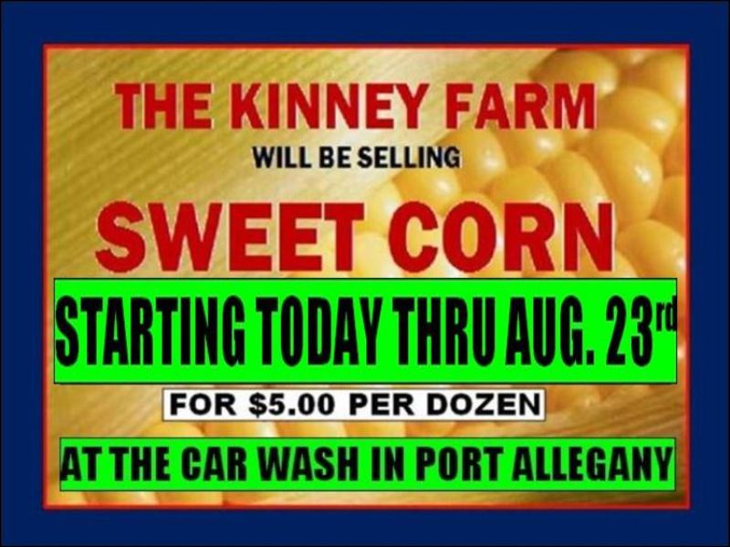 Solomon S Words For The Wise Kinney Farms Sweet Corn Today At