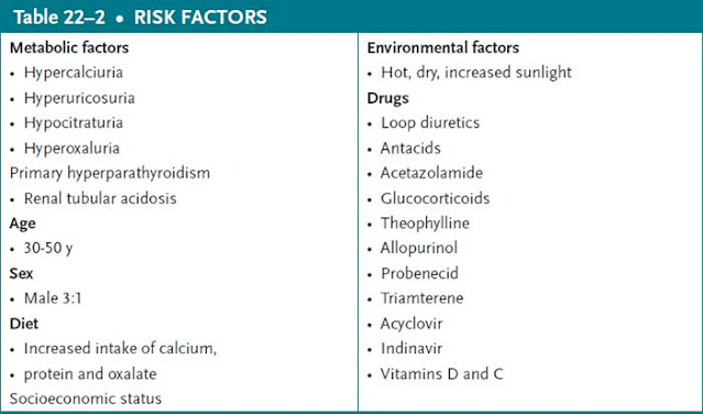 Nephrolithiasis risk factors