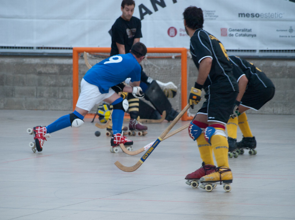 Quad Hockey Roller Hockey Trip
