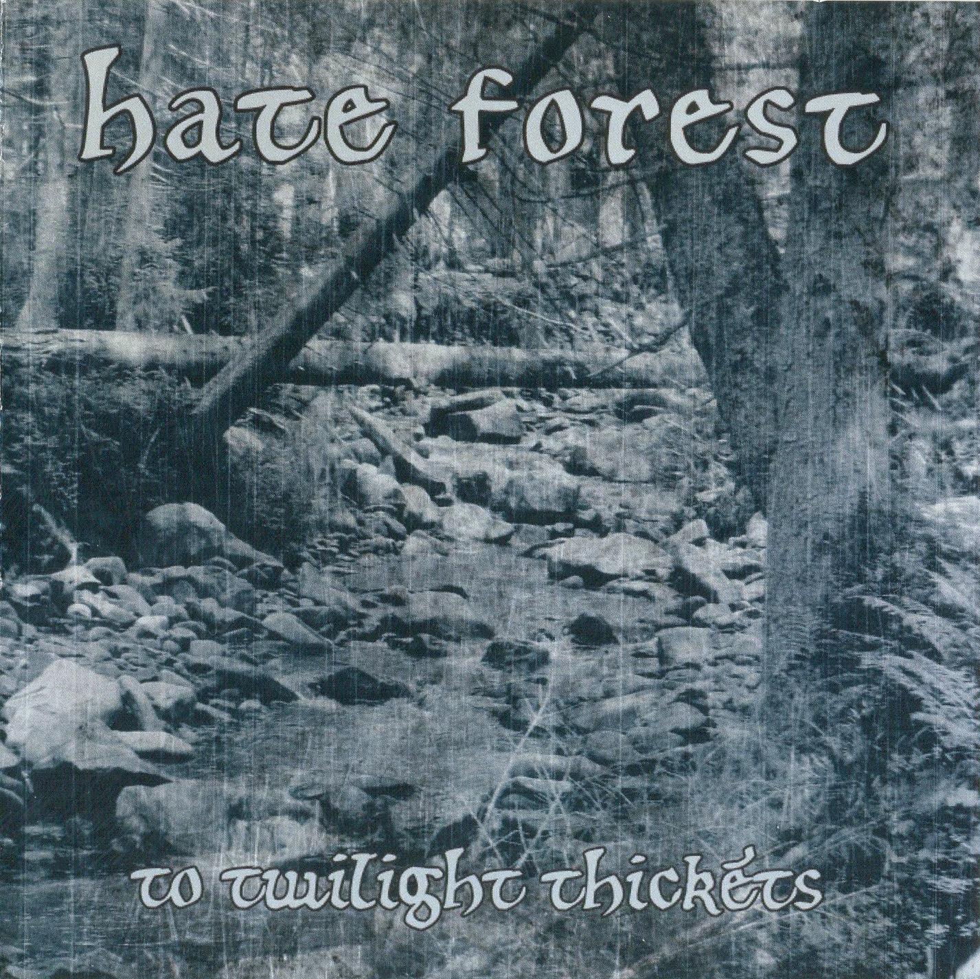 Old Metal Commander: Hate Forest