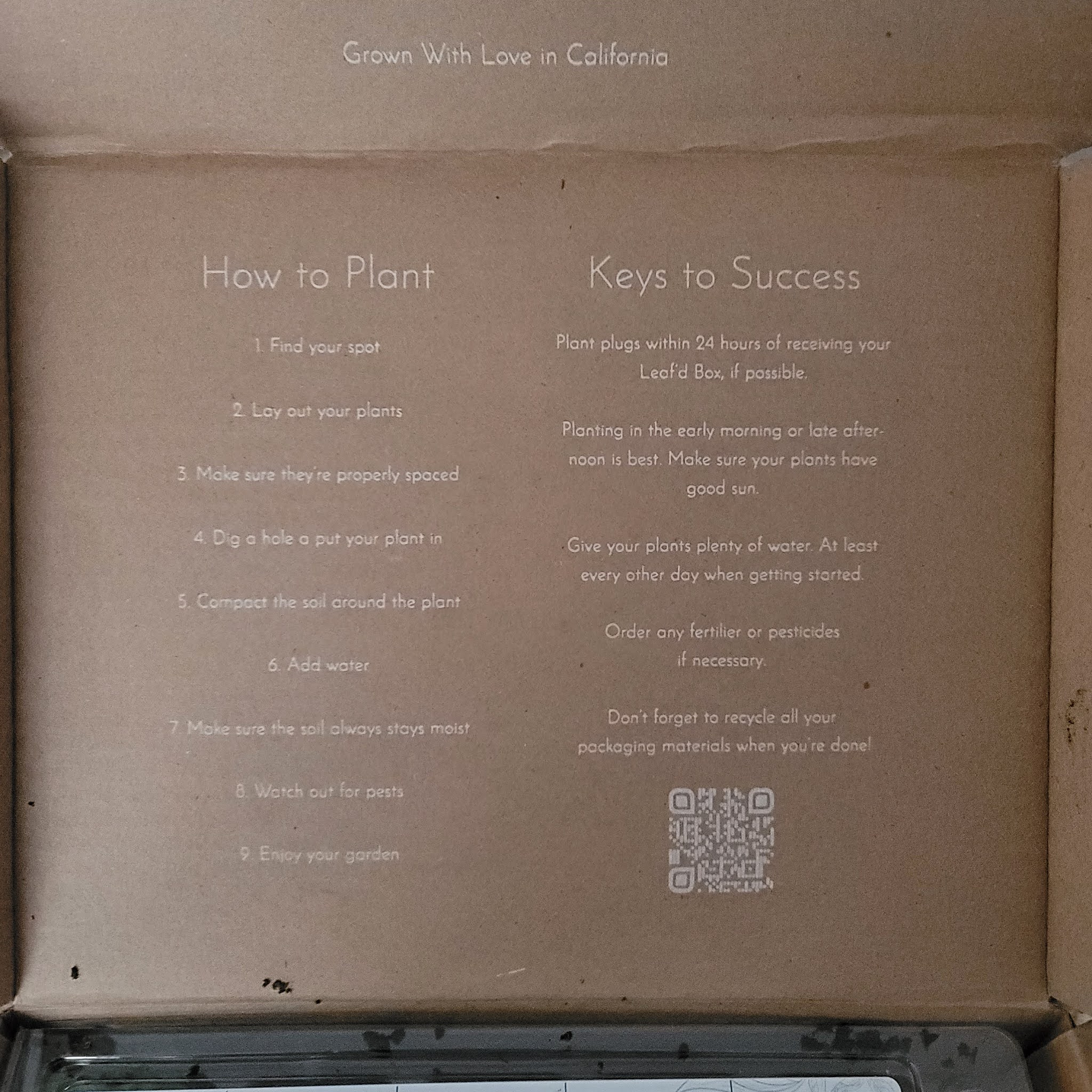 The ABCD Diaries with a Leaf'd Box Starter Garden!