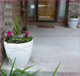 Flower pots planted in the spring | Picture featured on and property of www.BakingInATornado.com