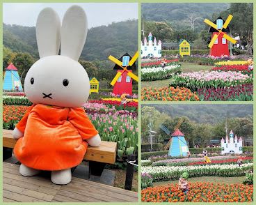 中壢社大週四趴趴走.2021首站士林官邸-鬱金香展(荷你相遇)