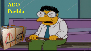 El Ojos Rojos ¿CONOCÍAS EL SERPOPARDO?