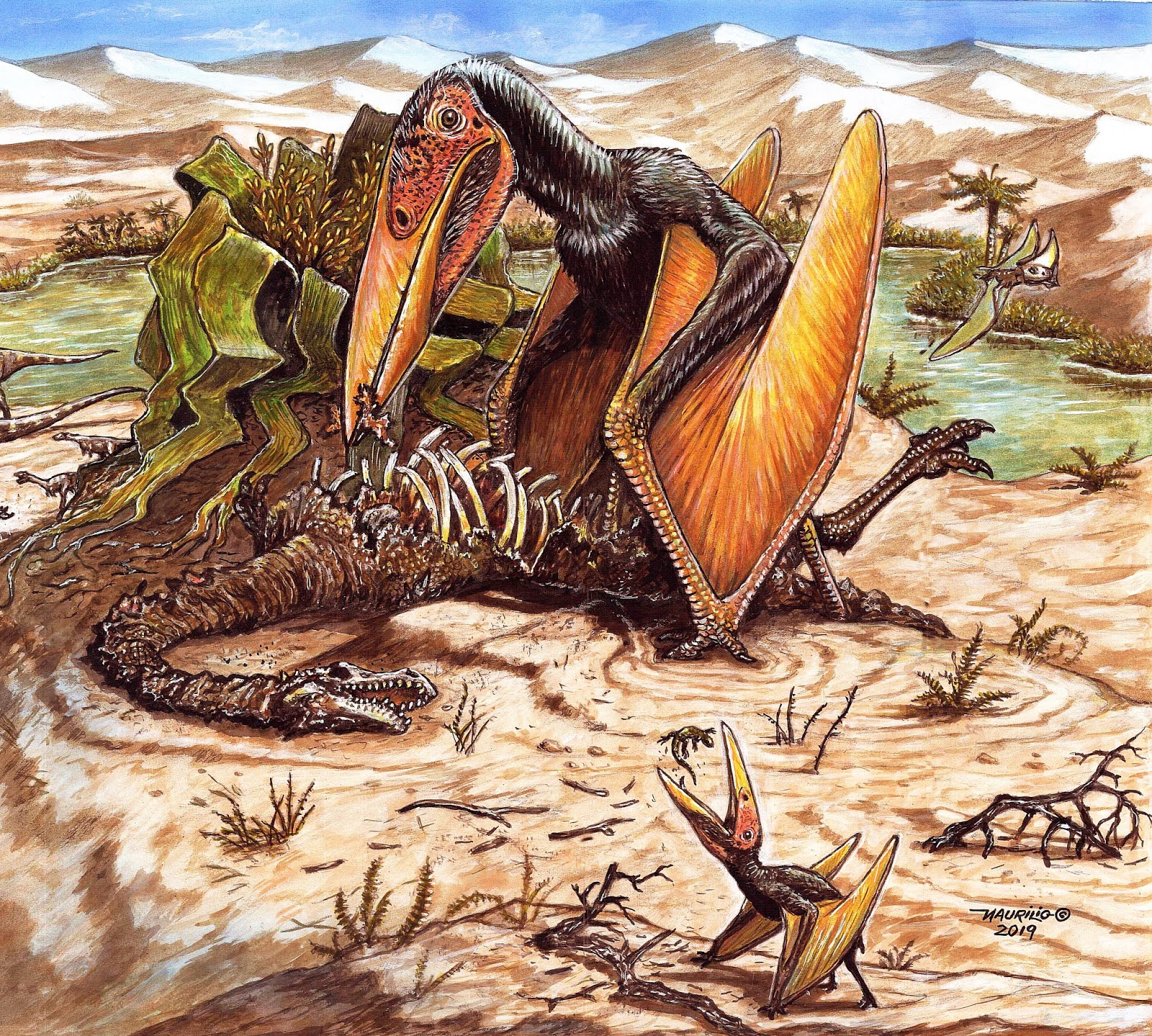 Species New to Science: [Paleontology • 2019] Keresdrakon vilsoni • A New  Toothless Pterosaur (Pterodactyloidea) from Southern Brazil with Insights  Into the Paleoecology of A Cretaceous Desert