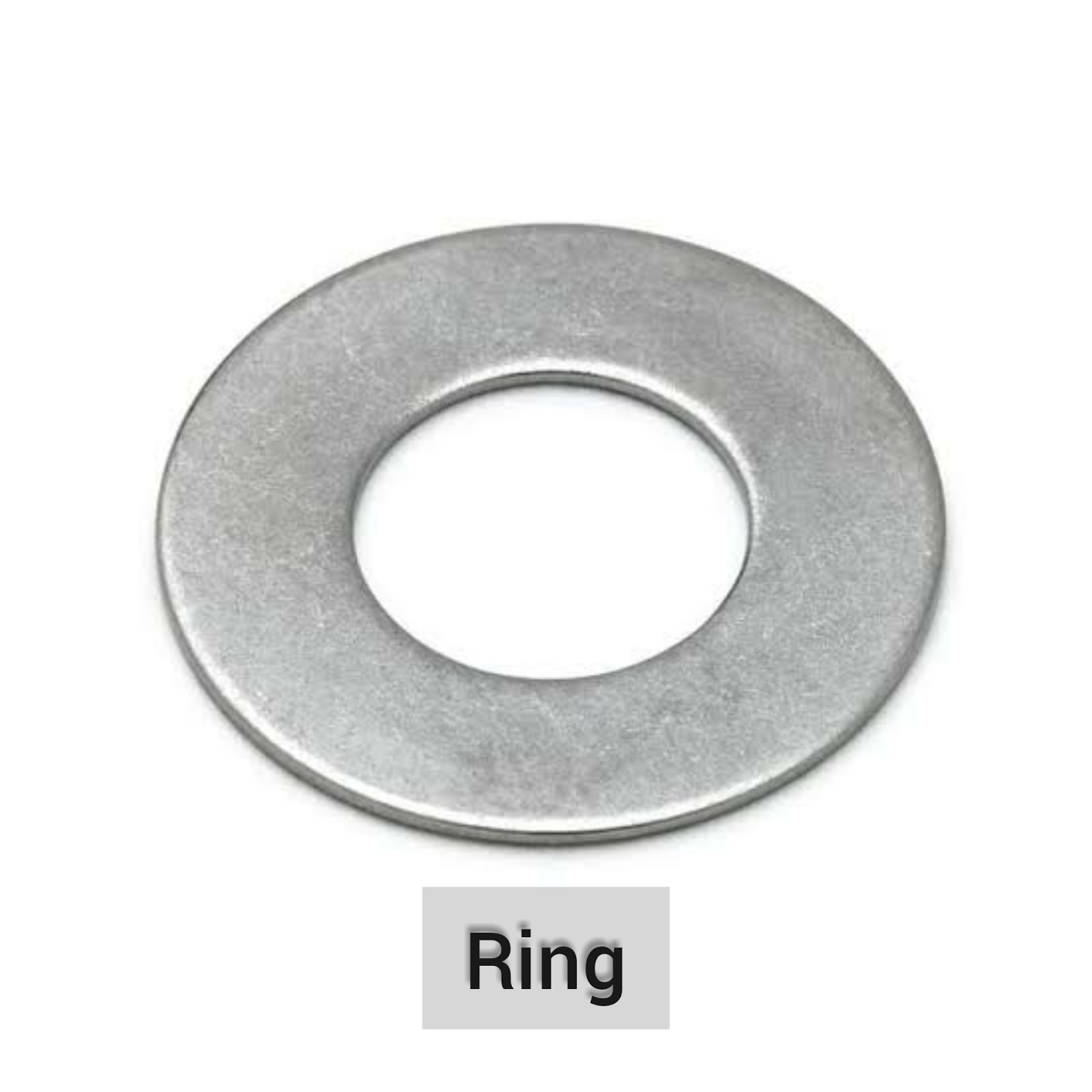 Jenis Jenis Washer Ring