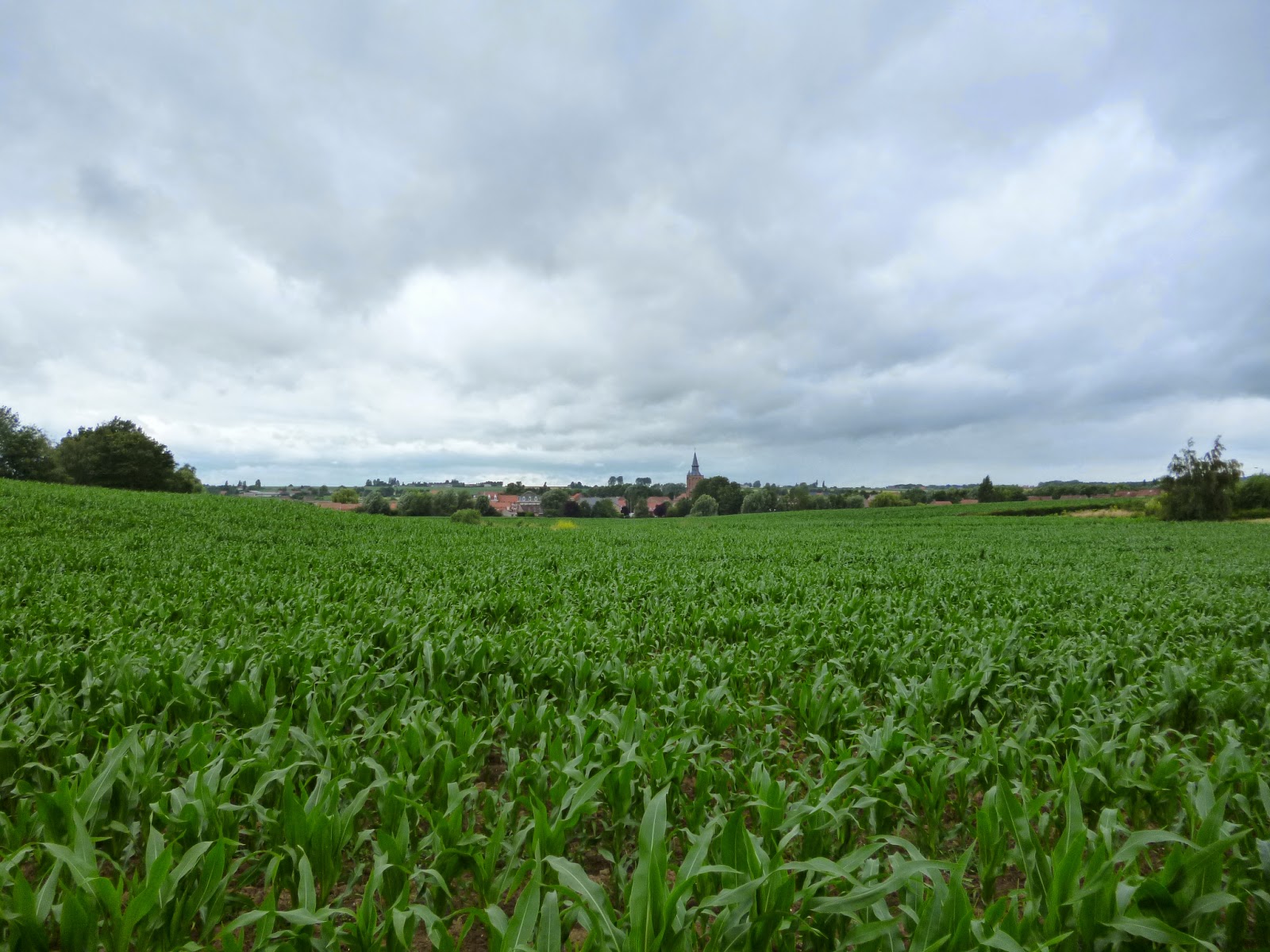Rando Wardrecques Saint Jans Cappel 