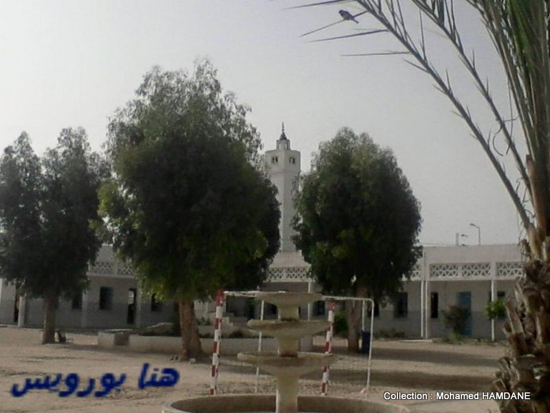 CULTURE et PATRIMOINE DE TUNISIE EN IMAGES MOHAMED HAMDANEثقافة وتراث