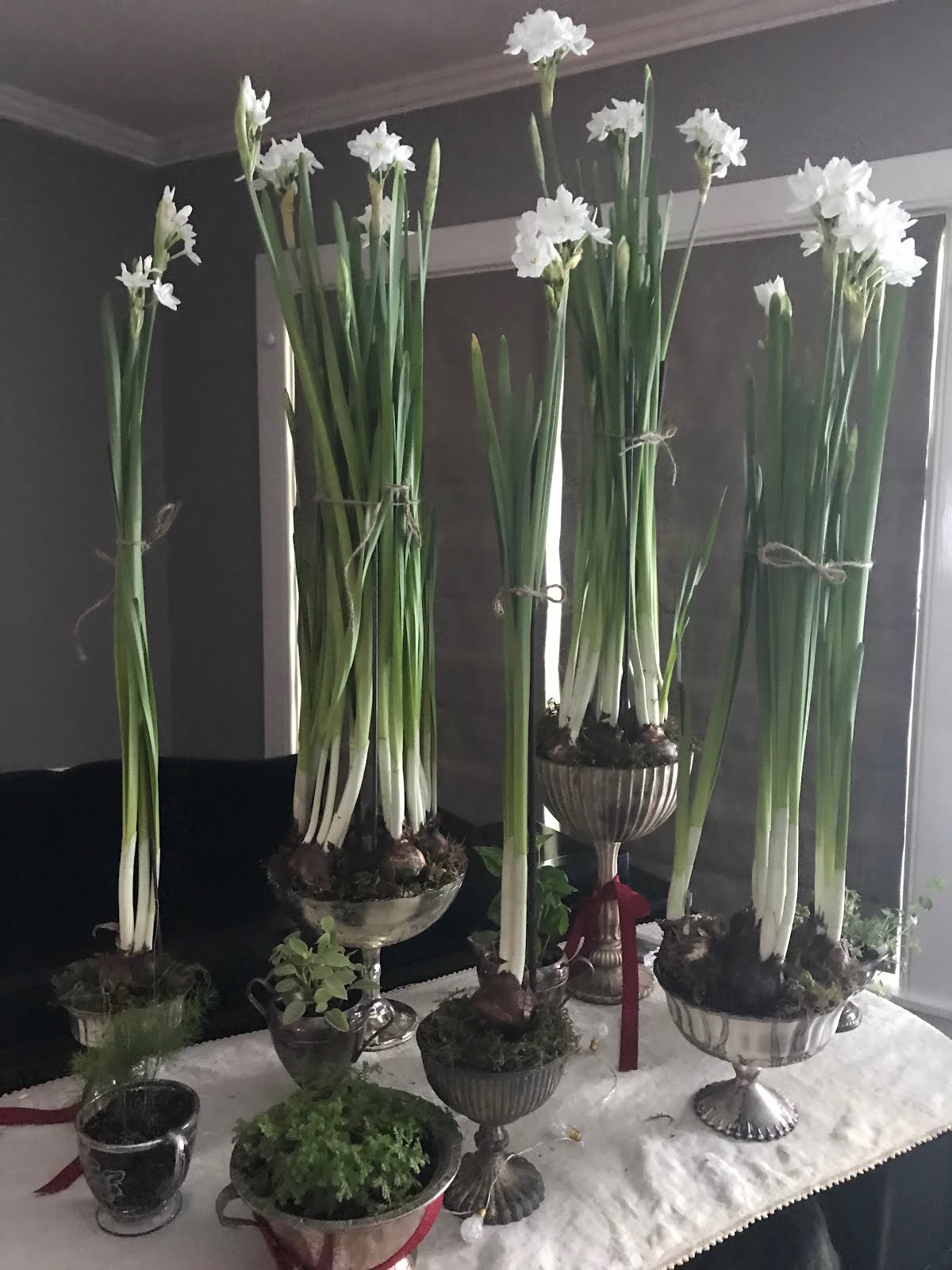 Paper whites in mercury glass vases