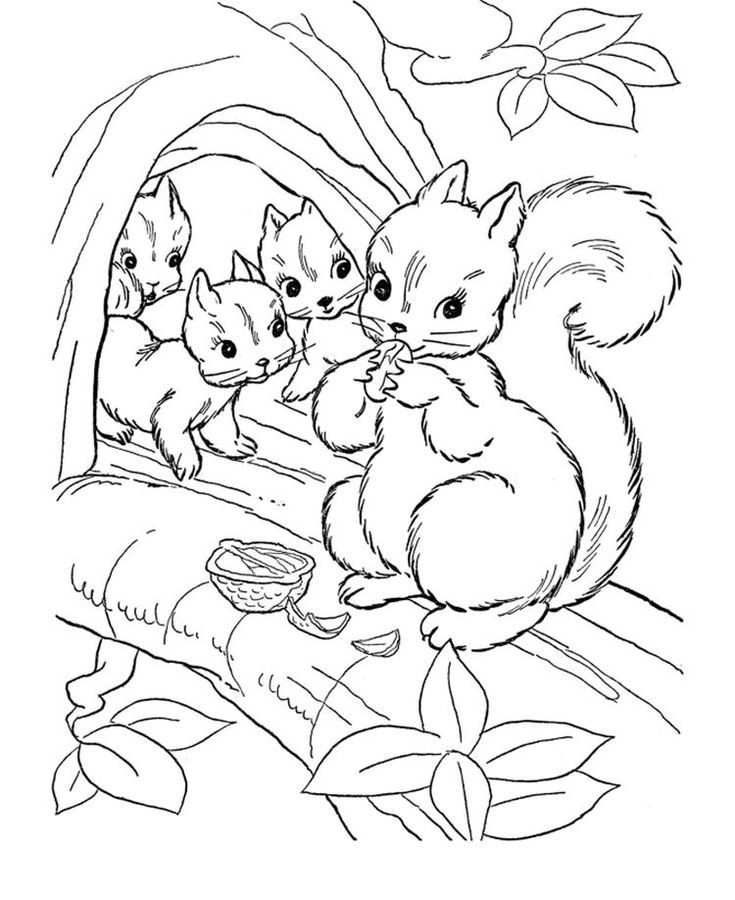 Bermulanya di sini...: Animals coloring pages