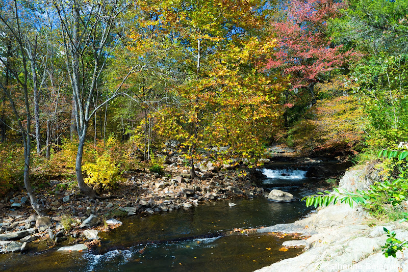 Broad Run River Bull Run Mountains Natural Area Preserve