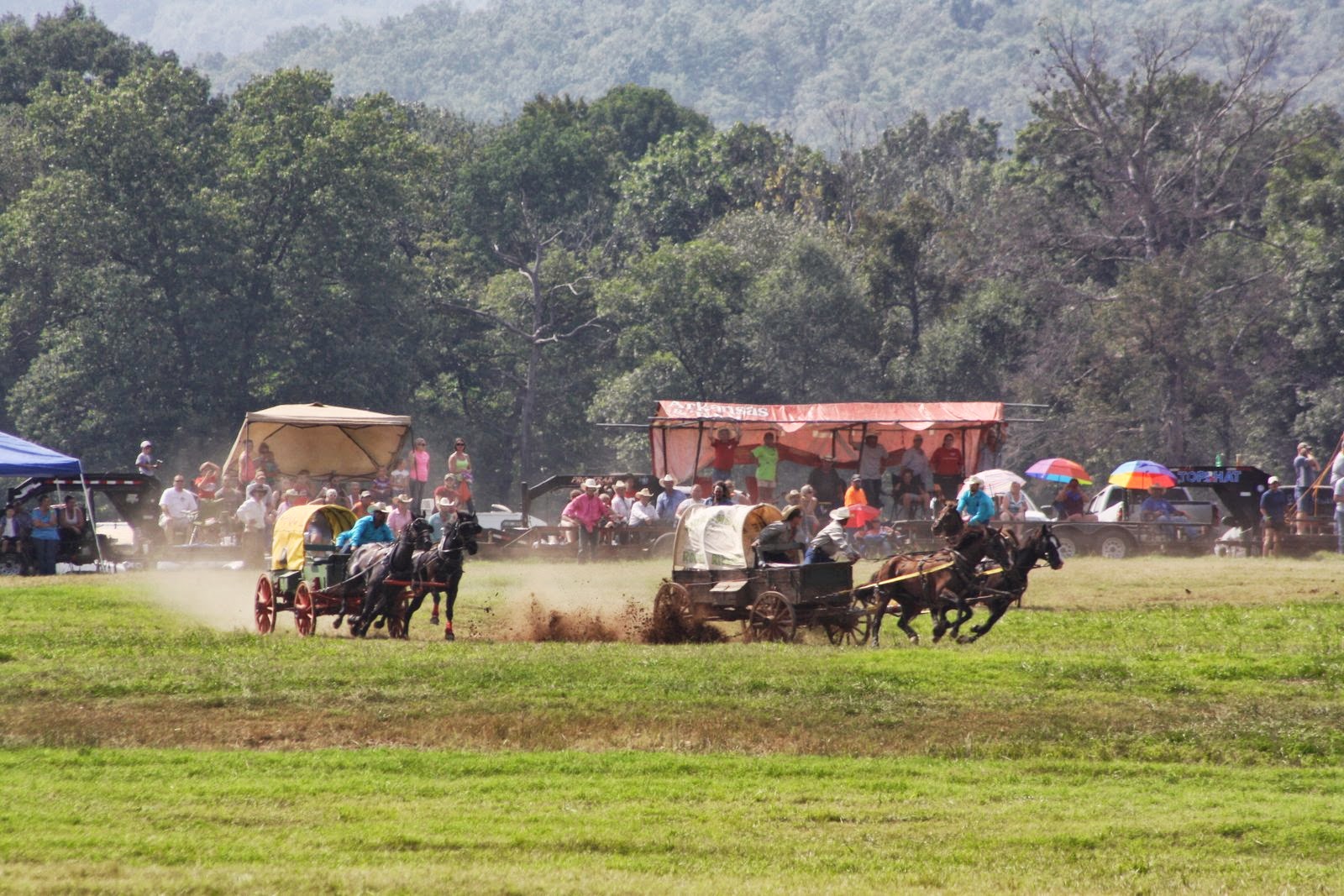 PairADice Mules National Champion Chuckwagon Races Clinton, AR