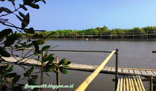 Mangrove Pasir Mendit