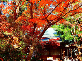 �o�����̍g�t