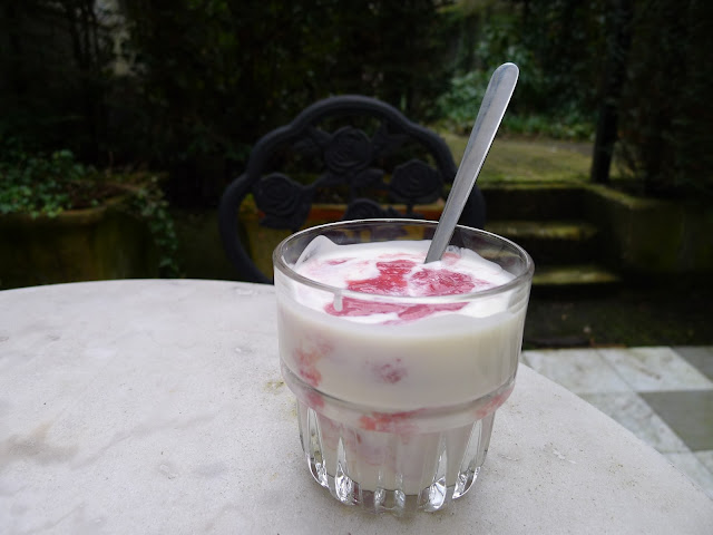 Rhubarb Yoghurt Fool
