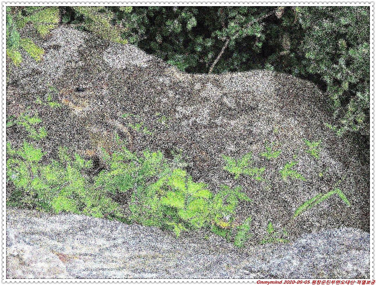 오대산 적멸보궁 오대산 적멸보궁