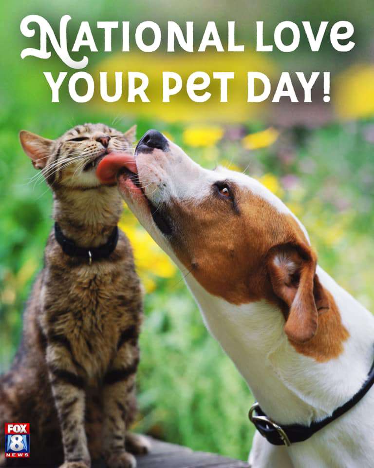 National Love Your Pet Day Wishes Pics