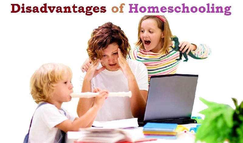 Disadvantages of Homeschooling