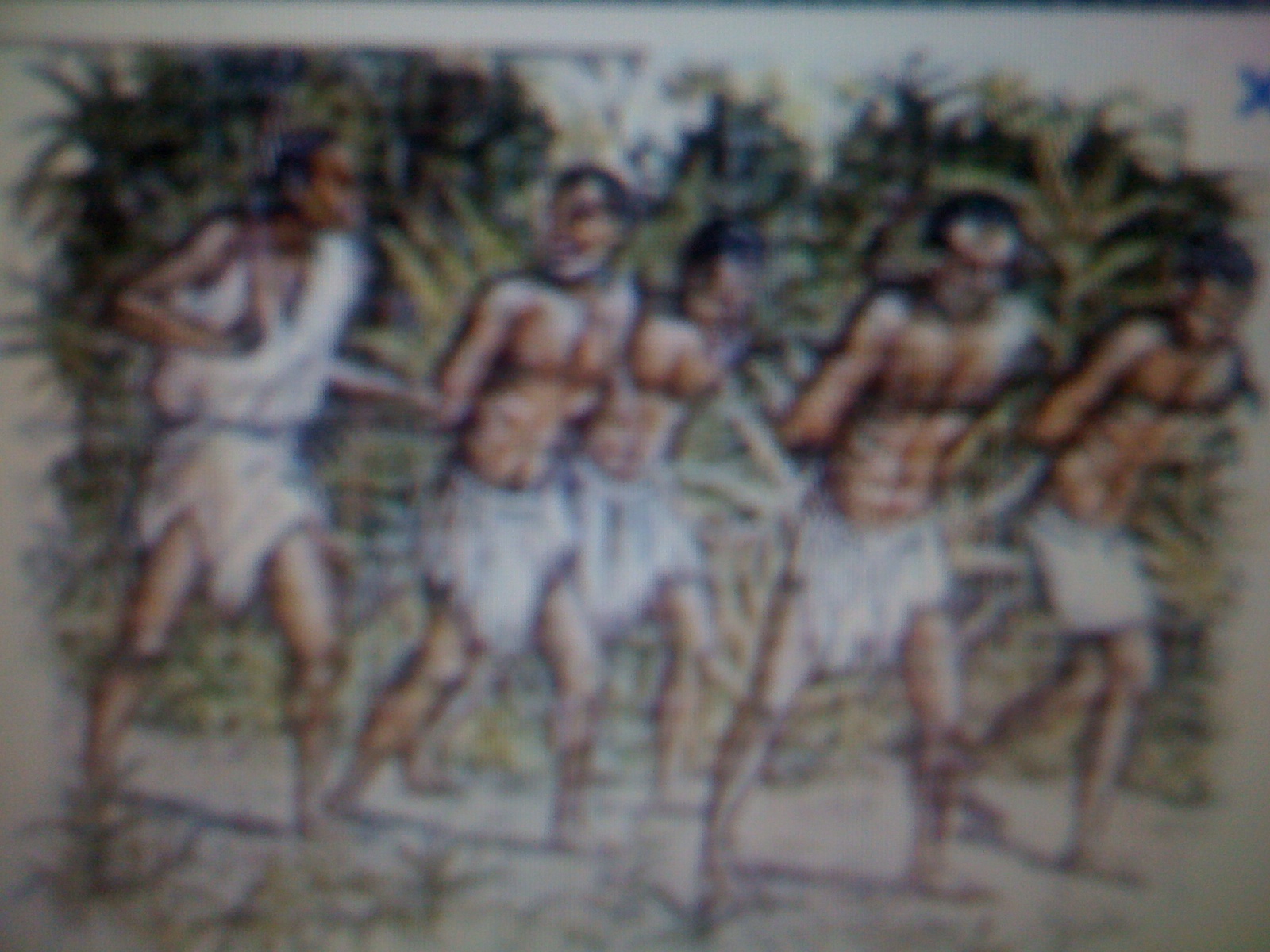 THE BLACK SOCIAL HISTORY BLACK SOCIAL HISTORY PORTUGAL ROLE IN THE