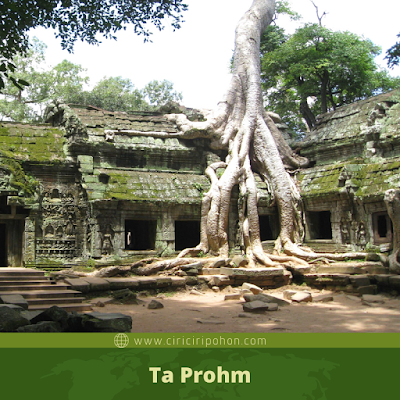 Ta Prohm