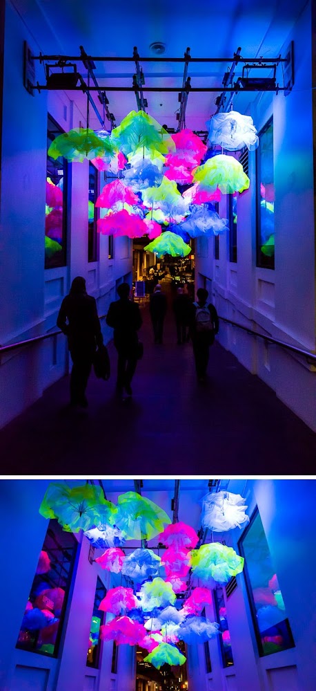 vivid-sydney-light-festival