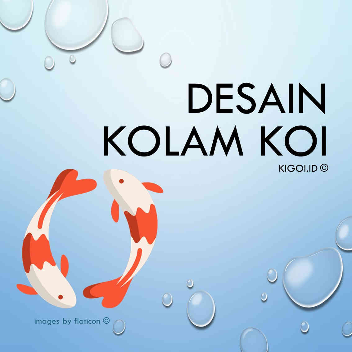 Jasa Desain Kolam Koi 2D - KiGoi