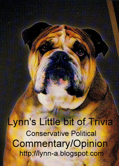 Lynn's little bit of trivia