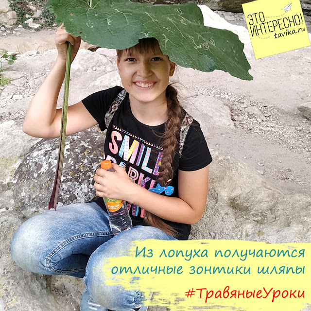 зонт из лопуха