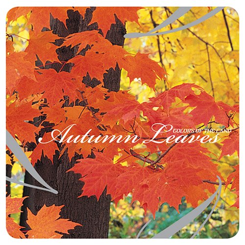 Colors Of The Land: Autumn Leaves