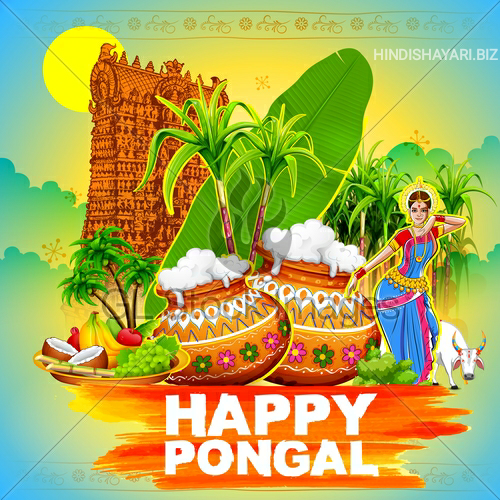 Happy Pongal,Happy Pongal Wishes in English, Happy Pongal Quotes in English, Happy Pongal Shayari Status in English
