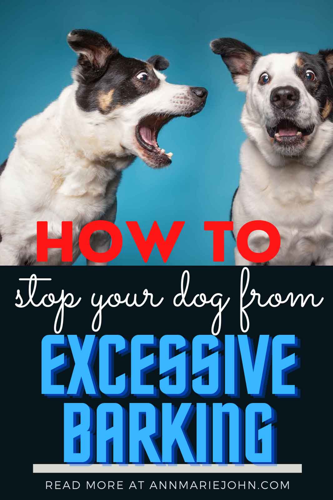 How To Stop A Dog From Excessive Barking